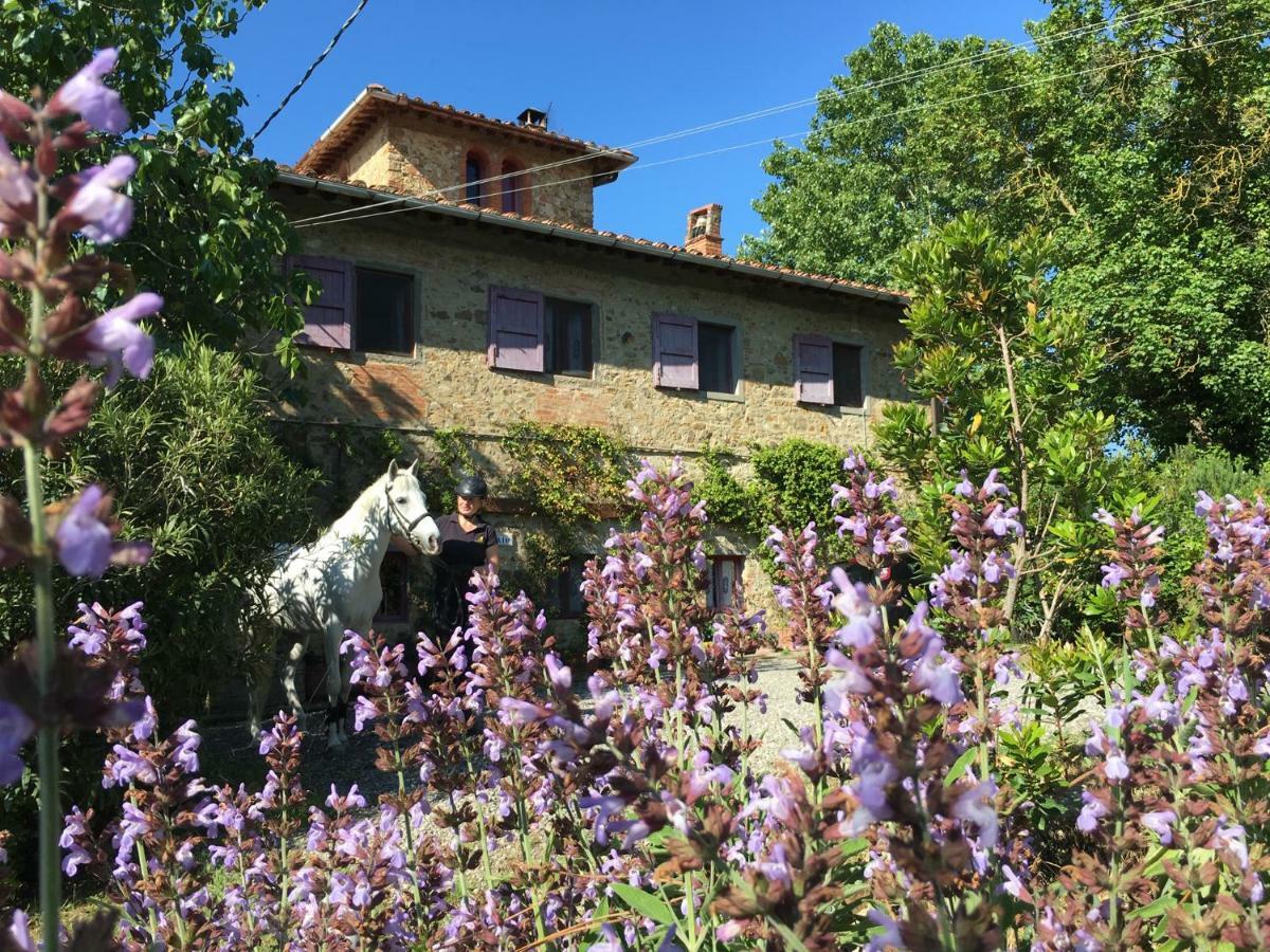 Barberino di Val dʼElsa Farmhouse B&B Il Paretaio المظهر الخارجي الصورة