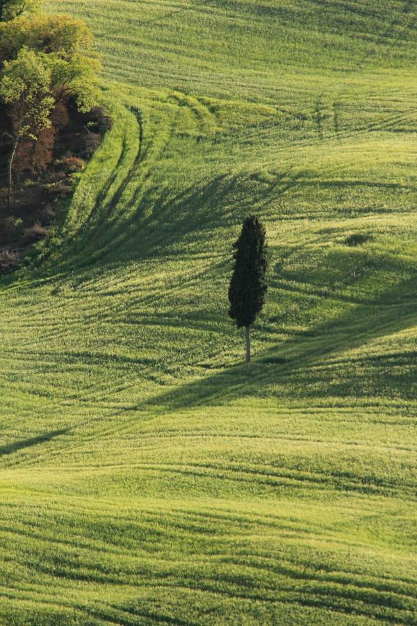 Barberino di Val dʼElsa Farmhouse B&B Il Paretaio المظهر الخارجي الصورة