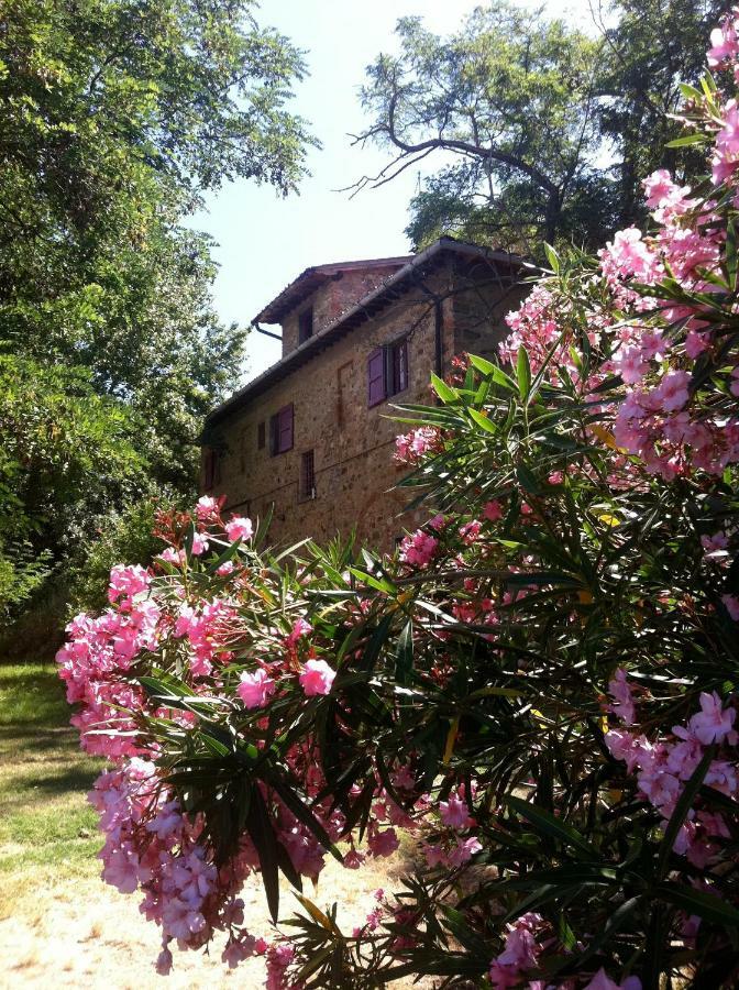 Barberino di Val dʼElsa Farmhouse B&B Il Paretaio المظهر الخارجي الصورة