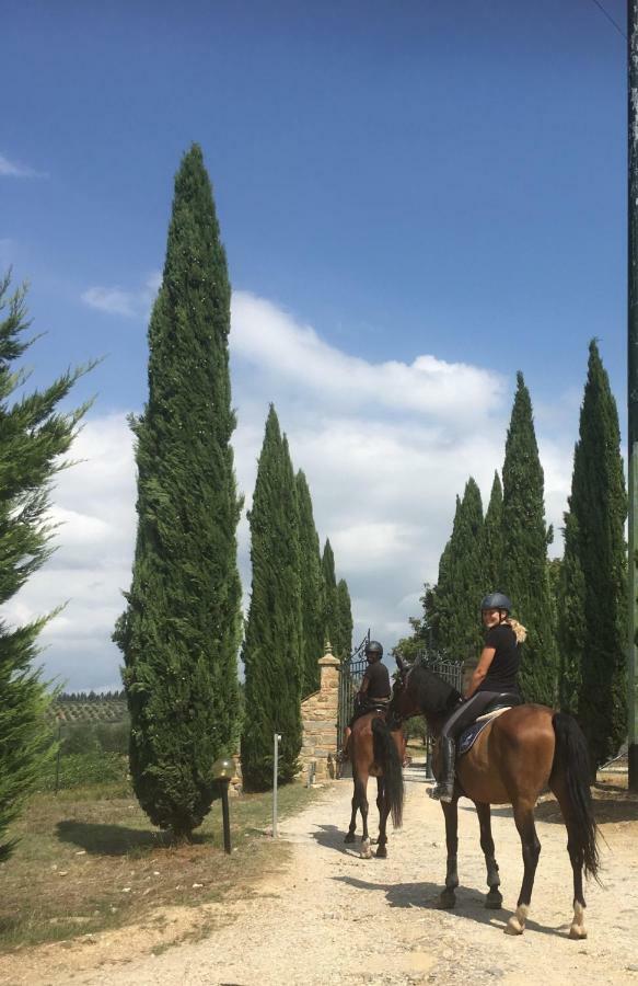 Barberino di Val dʼElsa Farmhouse B&B Il Paretaio المظهر الخارجي الصورة