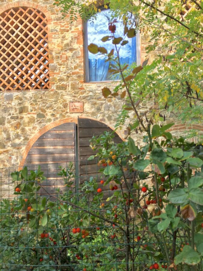 Barberino di Val dʼElsa Farmhouse B&B Il Paretaio المظهر الخارجي الصورة