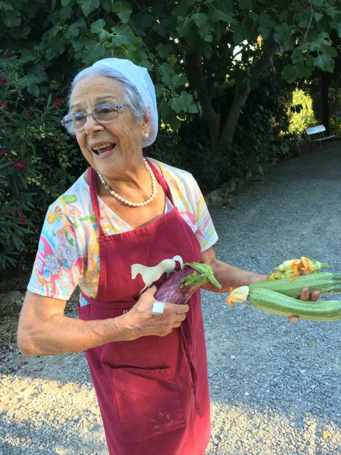 Barberino di Val dʼElsa Farmhouse B&B Il Paretaio المظهر الخارجي الصورة