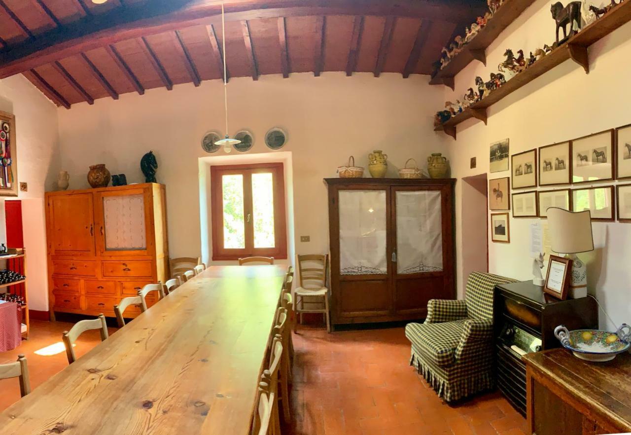 Barberino di Val dʼElsa Farmhouse B&B Il Paretaio المظهر الخارجي الصورة